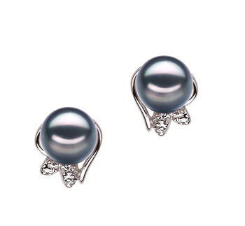 Par de pendientes de perlas Perla Akoya Japonesa de calidad AA de 6 a 7mm en color Negro