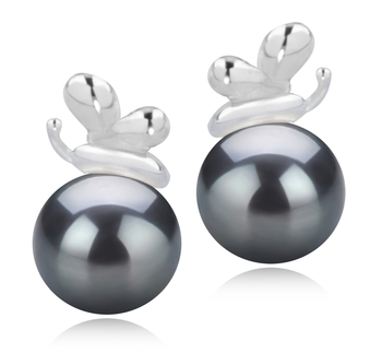Par de pendientes de perlas Perla Akoya Japonesa de calidad AA de 7 a 8mm en color Negro