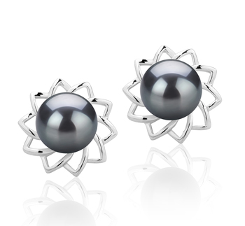 Par de pendientes de perlas Perla de Agua Dulce de calidad AAAA de 7 a 8mm en color Negro