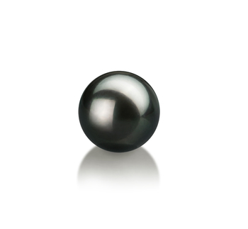 Perla Suelta Perla Akoya Japonesa de calidad AA de 8 a 9mm en color Negro