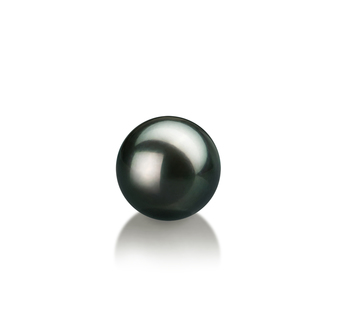 Perla Suelta Perla Akoya Japonesa de calidad AAA de 7 a 8mm en color Negro