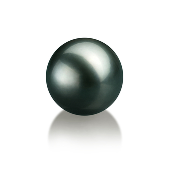 Perla Suelta Perla Tahití de calidad AAA de 12 a 13mm en color Negro