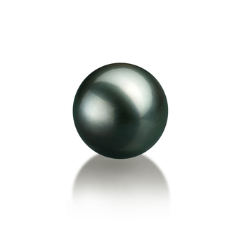 Perla Suelta Perla Tahití de calidad AAA de 10 a 10.5mm en color Negro