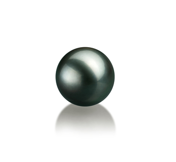 Perla Suelta Perla Tahití de calidad AAA de 8 a 9mm en color Negro
