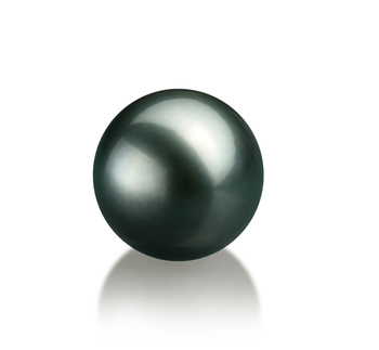 Perla Suelta Perla Tahití de calidad AA de 12 a 13mm en color Negro