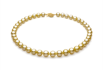 Collar de perlas Mar del Sur de calidad AAA de 9 a 11.7mm en color Oro