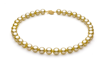 Collar de perlas Mar del Sur de calidad AAA de 10.9 a 12.8mm en color Oro