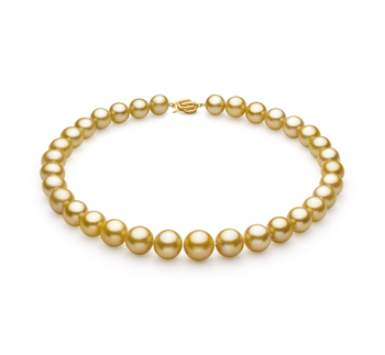 Collar de perlas Mar del Sur de calidad AAA+ de 11.5 a 15.2mm en color Oro