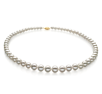 Collar de perlas Perla de Agua Dulce de calidad AAA de 4 a 10mm en color Blanco