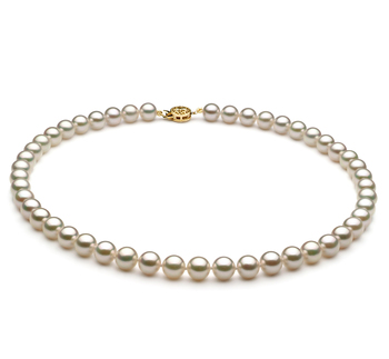 Collar de perlas Perla Akoya Japonesa de calidad AAA de 7.5 a 8mm en color Blanco