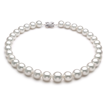Collar de perlas Mar del Sur de calidad AAA de 12 a 16mm en color Blanco